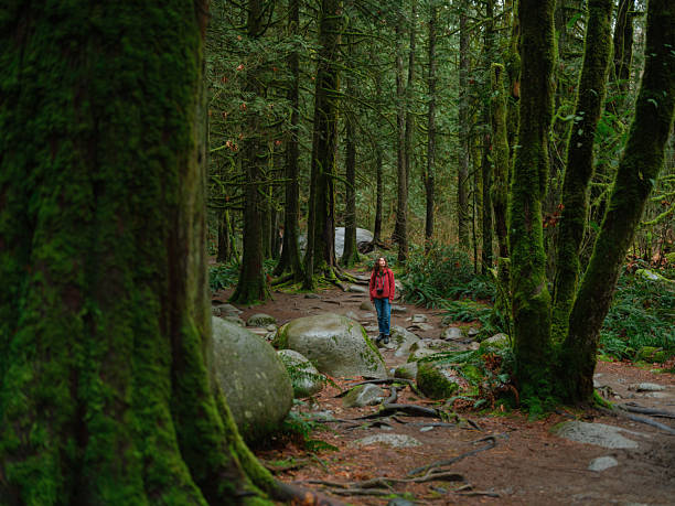 Woman enjoying  serenity during the hike in the forest in Vancouver, Canada in summer