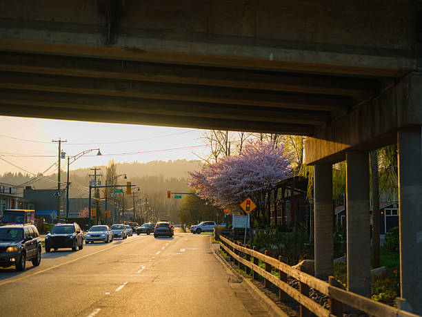 istock Cherry blossom and vintage train in Vancouver, Canada 2218001841
