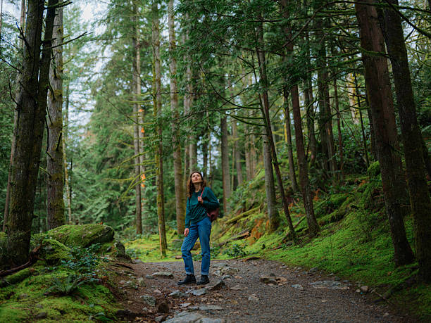 istock Woman exploring serene forest in Vancouver, Canada in summer 2218001971