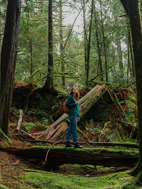 istock Woman exploring serene forest in Vancouver, Canada in summer 2218001977