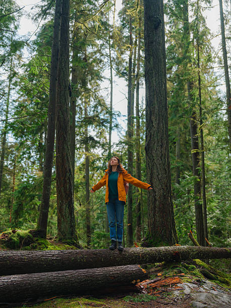 istock Woman exploring serene forest in Vancouver, Canada in summer 2218001987
