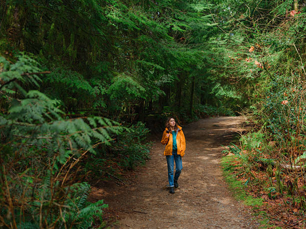 istock Woman exploring serene forest in Vancouver, Canada in summer 2218001997