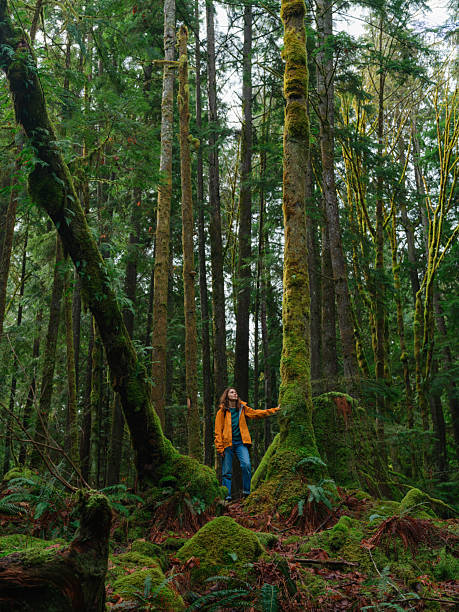 istock Woman exploring serene forest in Vancouver, Canada in summer 2218002002