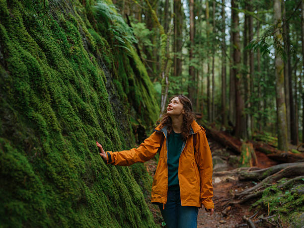 istock Woman exploring serene forest in Vancouver, Canada in summer 2218002004