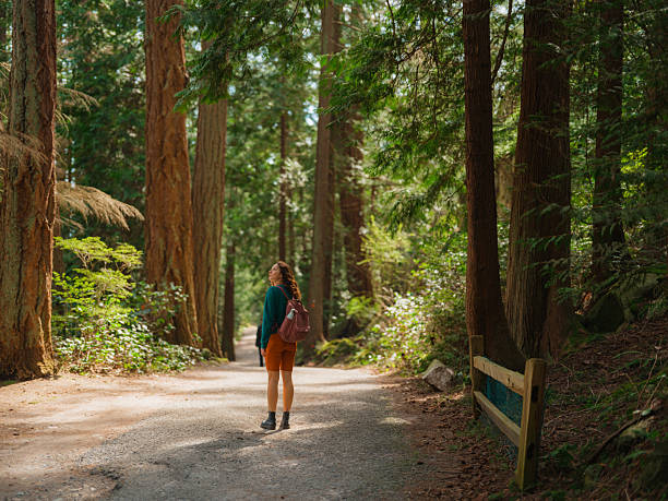 istock Woman exploring serene forest in Vancouver, Canada in summer 2218002214