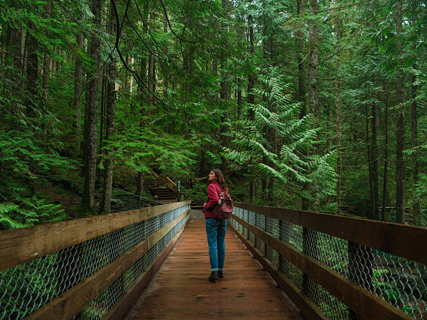Woman exploring serene forest in Vancouver, Canada in summer