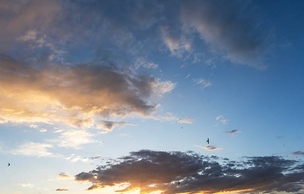 istock Beautiful bright sunset evening sky with dramatic clouds. Sunset background. 2218002776