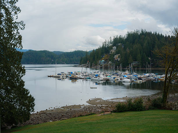 istock Marina in quiet inlet in Vancouver, Canada 2218003323