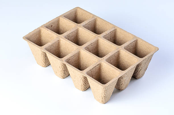 istock Biodegradable seedling tray made of natural pulp material on white background 2218004017