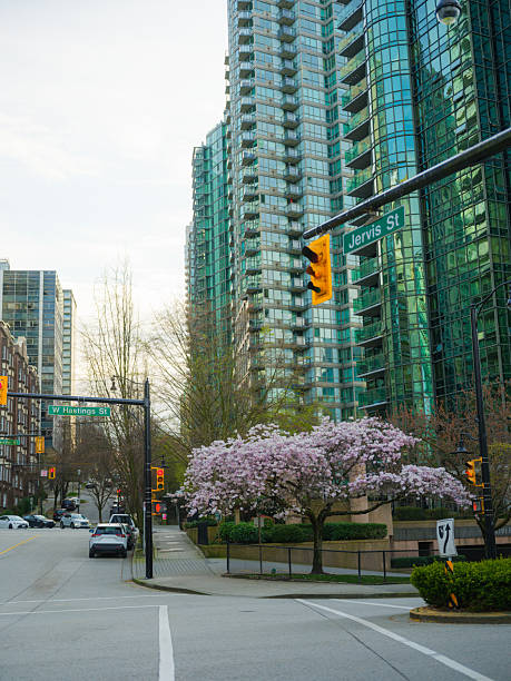 Scenic view of Vancouver cityscape surrounded by cherry blossom in springtime, Canada