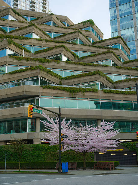 istock Vancouver cityscape surrounded by cherry blossom in springtime 2218004600