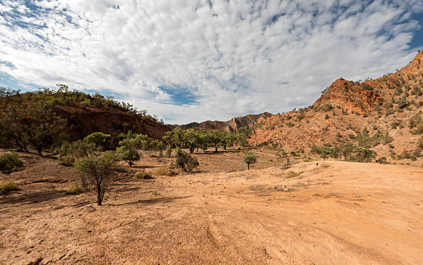 Red Rock Cliffs and Sedimentary Layers Along Brachina Gorge Geological Trail in Flinders Ranges National Park, South Australia
