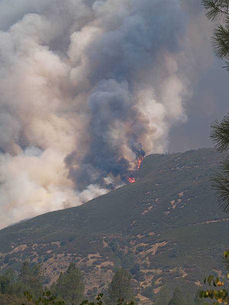 istock Gray And Black Smoke And Flames From Wild Fire 2218015252