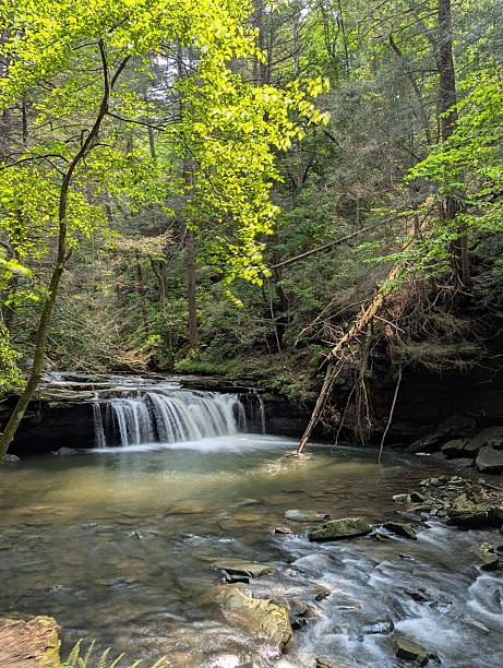 istock A long exposure photo of a small waterfall 2218015377