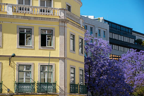 istock Historic Building with Jacaranda Trees in Lisbon 2218015482