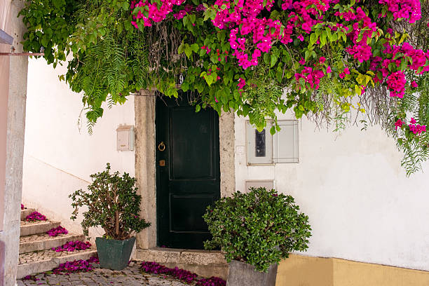 istock Charming Doorway Adorned with Bougainvillea Blossoms 2218015550