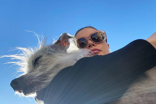 istock Woman embracing a small white dog under a clear blue sky 2218015723