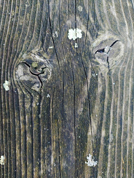 istock Weathered wooden texture featuring unique grain patterns and knots resembling eyes. Rustic and organic, suitable for backgrounds, designs, or metaphorical concepts. 2218017866