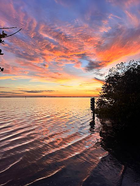 istock Sunset on the Banana River 2218020362