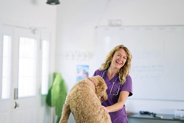 istock Veterinarian Interacting With a Friendly Dog in a Bright Modern Clinic 2218023736