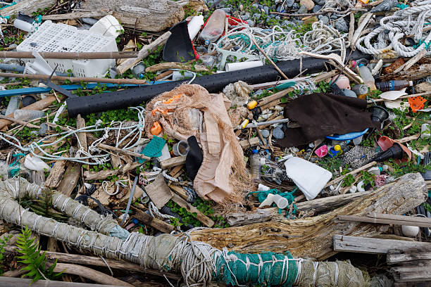 Marine debris washed up on the shore in Japan