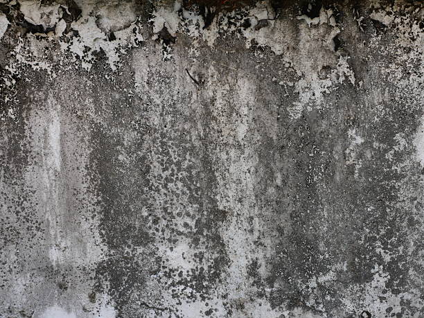 istock The rough texture of concrete wall 2218031182