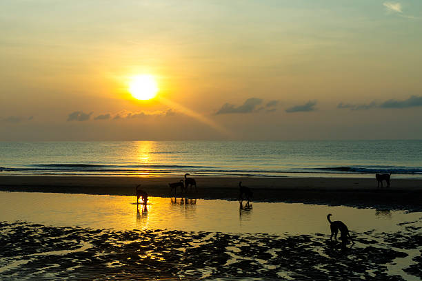 Sunrise morning and silhouette on beach at beach Bang Boet, Prachuap Khiri Khan Province in Thailand is famous for travel and relax.