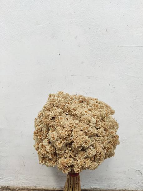Bouquet of dried flower on paper material corn shape base