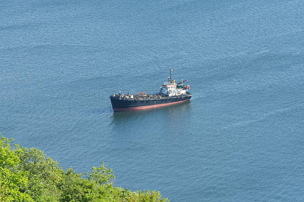 Cargo vessels parked at sea