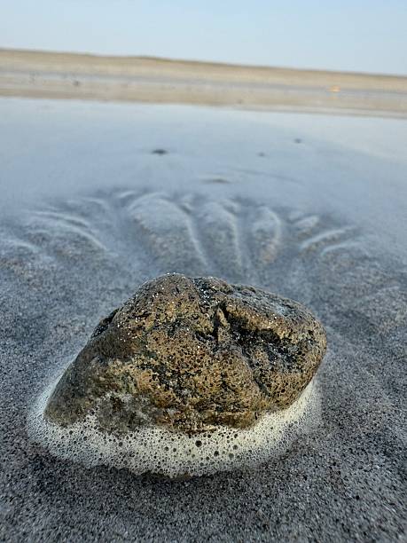 istock Beaches of Oman 2218044769
