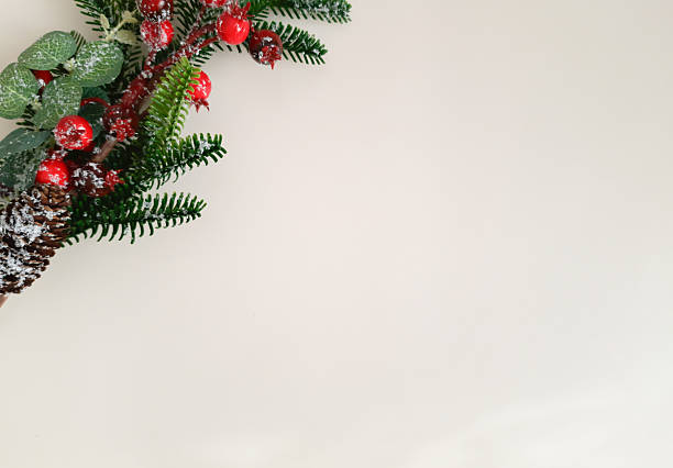 Christmas tree branch with cone on light background. Branches of fir tree decorated with holly berry, cone