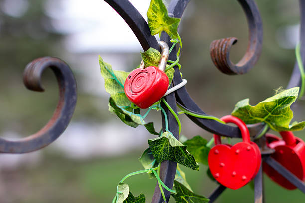 Lovers locks on a metal grate in a city park