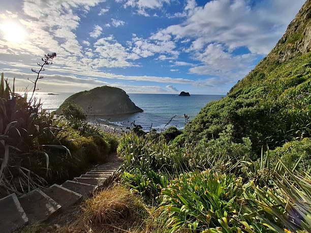istock New Zealand 2218047088