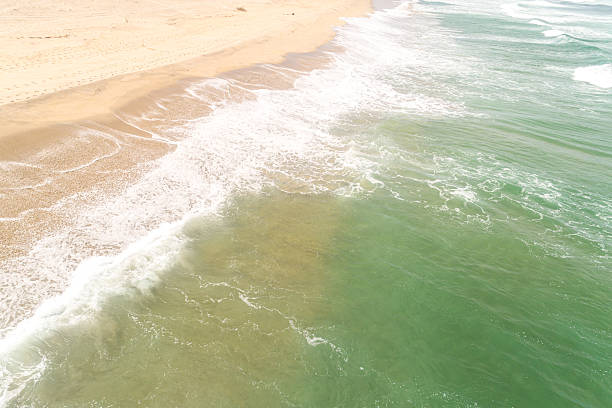powerful ocean waves and pristine sandy beach Aerial image from a drone