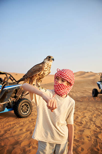 istock Beautiful boy holding falcon in Dubai desert 2218048369
