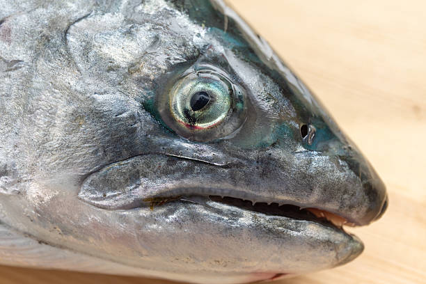 istock Close up of a salmon head on a chopping board 2218051072