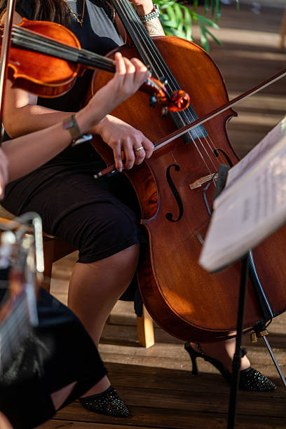 istock Orchestra playing musical instruments together detail still 2218053693