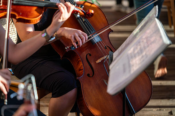Orchestra playing musical instruments together detail horizontal still