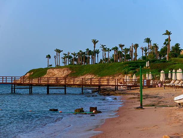 sunrise on red sea coast in egypt