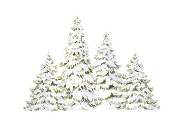 Watercolor Christmas trees in snow hand drawn illustration isolated on white background for Happy New Year cards and cute greeting banners. Simple winter horizontal landscape clip art.