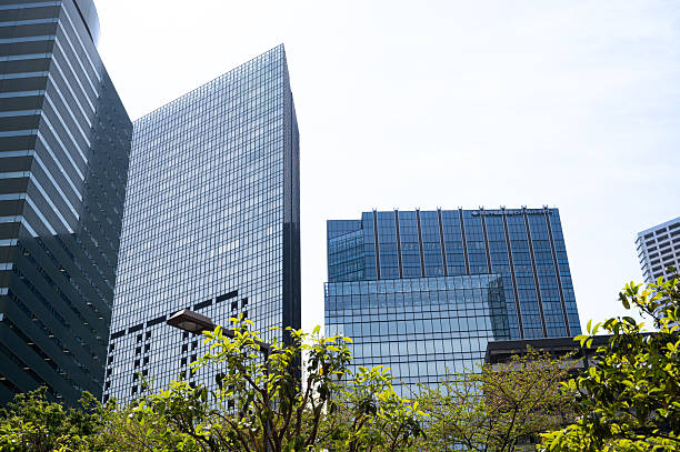 istock Skyscrapers in Shinjuku, Tokyo 2218058294