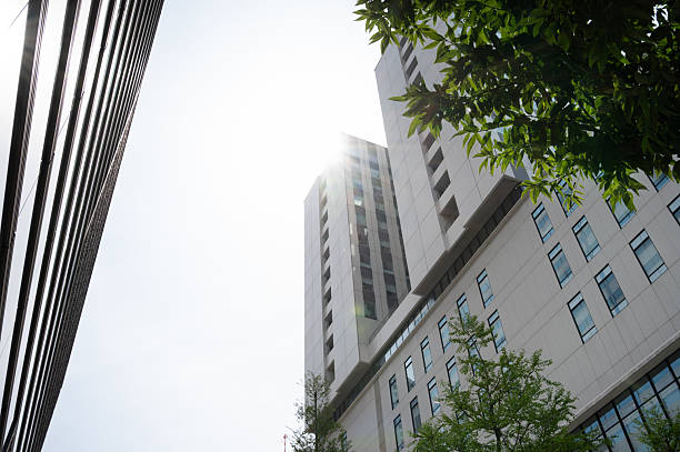 istock A view looking up at street trees and skyscrapers 2218058856
