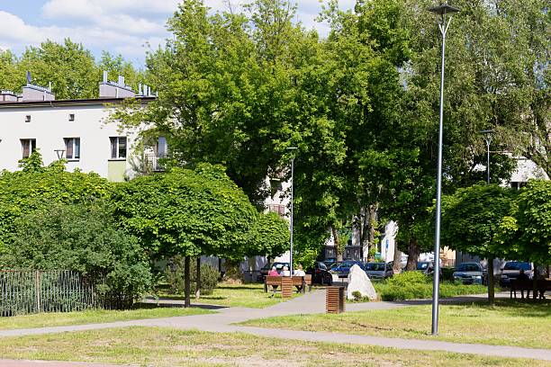 istock A park with green trees and grass, a building in the background 2218060581