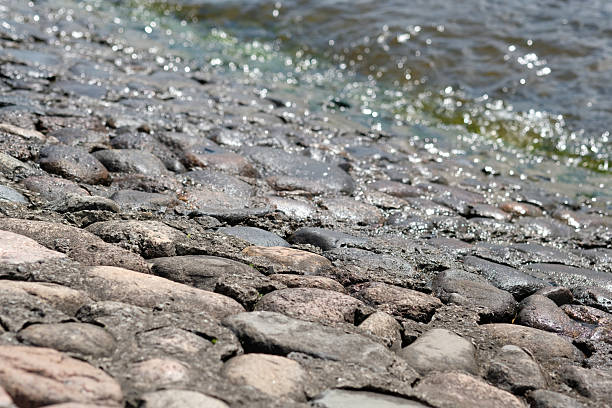 Gentle waves roll into a cobblestone shoreline under bright sunlight, creating a serene atmosphere. The clear water reflects the blue sky, inviting relaxation along the waterfront.