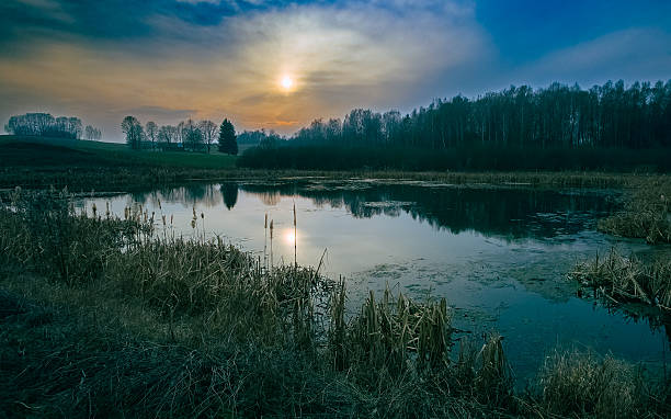 istock Tranquil lake at sunset in early spring with dry reeds and forest reflection 2218070201