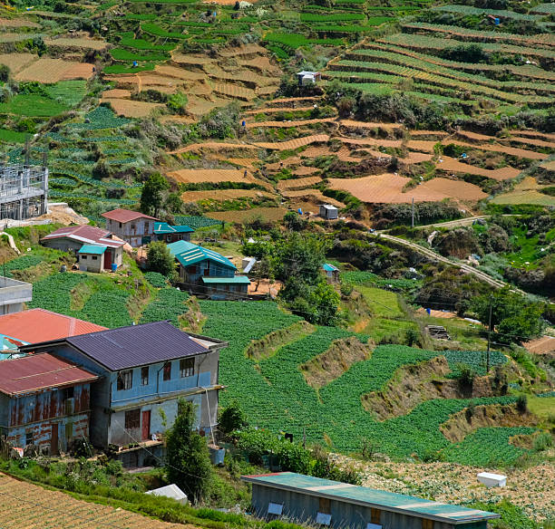 istock Terraced fields in Mt. Solis Atok Benguet, Philippines. 2218071667