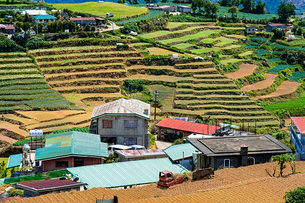 istock Terraced fields in Mt. Solis Atok Benguet, Philippines. 2218071706