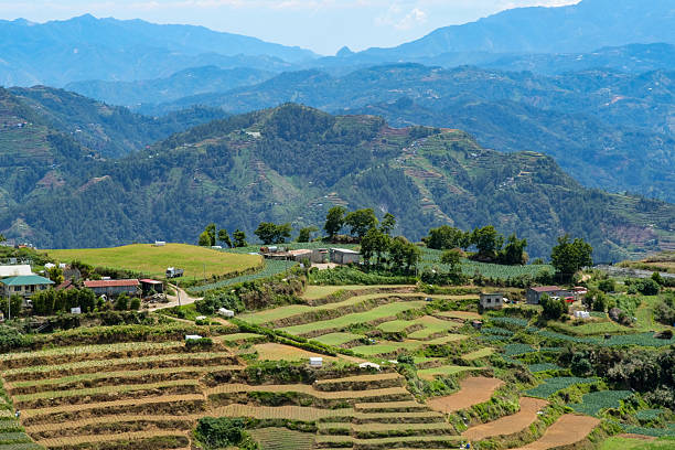 istock Terraced fields in Mt. Solis Atok Benguet, Philippines. 2218071722