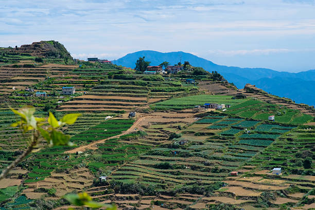 istock Terraced fields in Mt. Solis Atok Benguet, Philippines. 2218071742