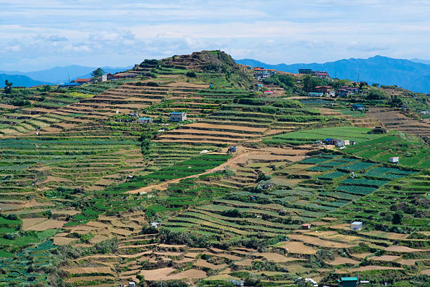 istock Terraced fields in Mt. Solis Atok Benguet, Philippines. 2218072009